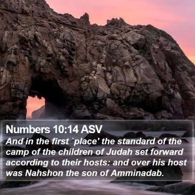 Numbers 10:14 ASV Bible Verse Image