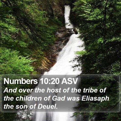 Numbers 10:20 ASV Bible Verse Image