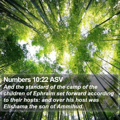 Numbers 10:22 ASV Bible Verse Image