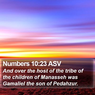 Numbers 10:23 ASV Bible Verse Image