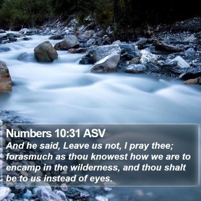 Numbers 10:31 ASV Bible Verse Image