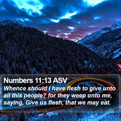 Numbers 11:13 ASV Bible Verse Image