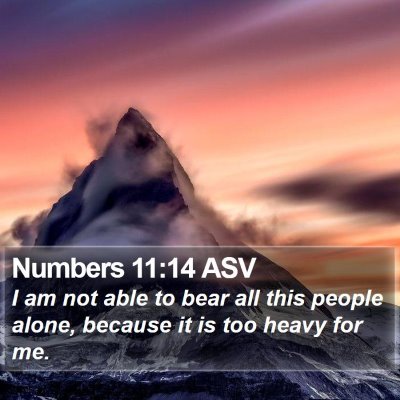Numbers 11:14 ASV Bible Verse Image
