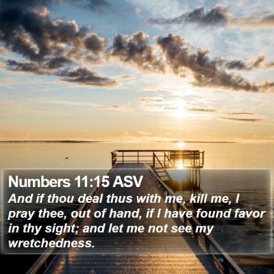 Numbers 11:15 ASV Bible Verse Image