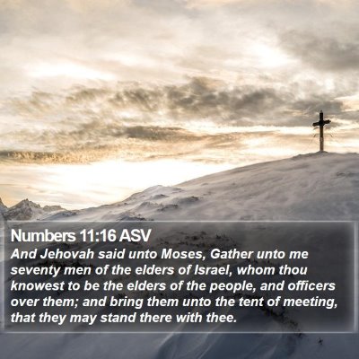 Numbers 11:16 ASV Bible Verse Image