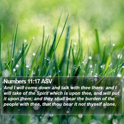 Numbers 11:17 ASV Bible Verse Image