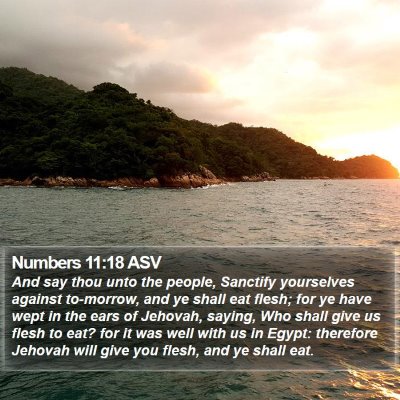 Numbers 11:18 ASV Bible Verse Image