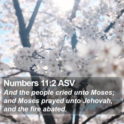 Numbers 11:2 ASV Bible Verse Image