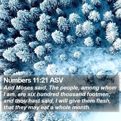 Numbers 11:21 ASV Bible Verse Image