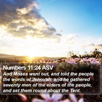 Numbers 11:24 ASV Bible Verse Image
