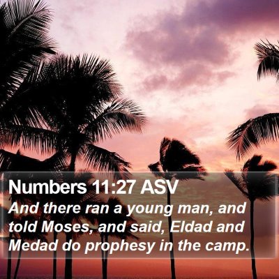 Numbers 11:27 ASV Bible Verse Image