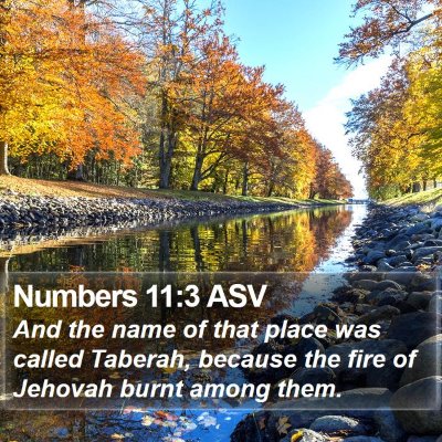 Numbers 11:3 ASV Bible Verse Image
