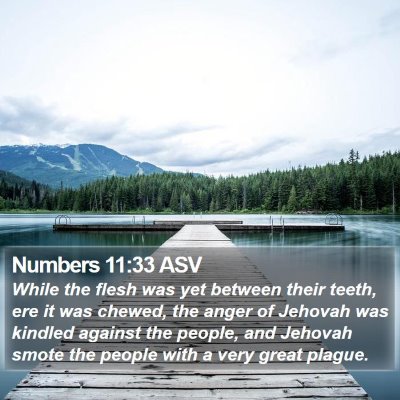 Numbers 11:33 ASV Bible Verse Image