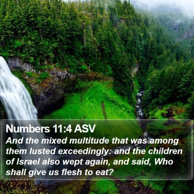 Numbers 11:4 ASV Bible Verse Image