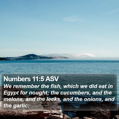 Numbers 11:5 ASV Bible Verse Image