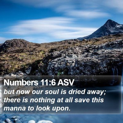 Numbers 11:6 ASV Bible Verse Image