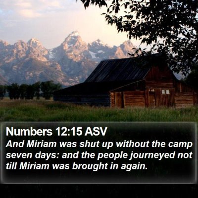 Numbers 12:15 ASV Bible Verse Image