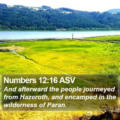 Numbers 12:16 ASV Bible Verse Image