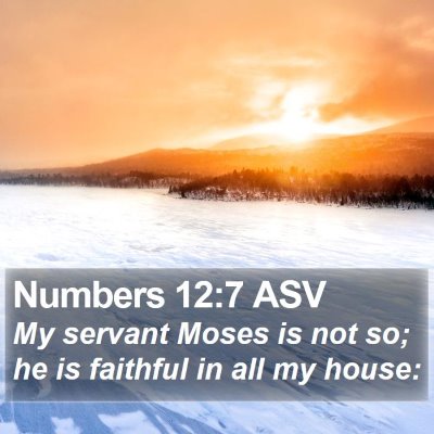Numbers 12:7 ASV Bible Verse Image