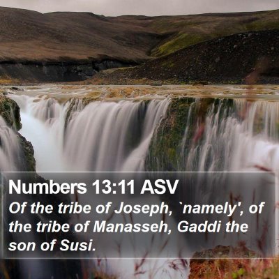 Numbers 13:11 ASV Bible Verse Image