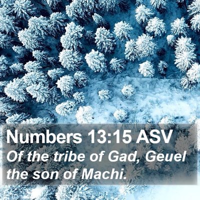 Numbers 13:15 ASV Bible Verse Image
