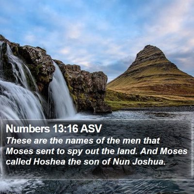 Numbers 13:16 ASV Bible Verse Image