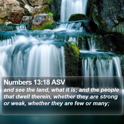 Numbers 13:18 ASV Bible Verse Image
