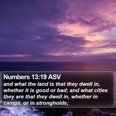 Numbers 13:19 ASV Bible Verse Image