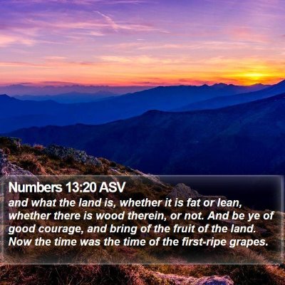 Numbers 13:20 ASV Bible Verse Image