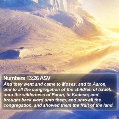 Numbers 13:26 ASV Bible Verse Image