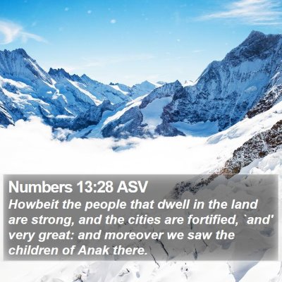 Numbers 13:28 ASV Bible Verse Image