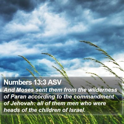 Numbers 13:3 ASV Bible Verse Image
