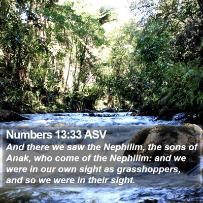 Numbers 13:33 ASV Bible Verse Image