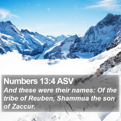 Numbers 13:4 ASV Bible Verse Image