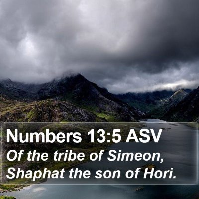 Numbers 13:5 ASV Bible Verse Image