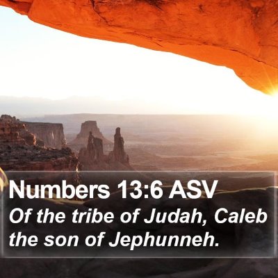 Numbers 13:6 ASV Bible Verse Image