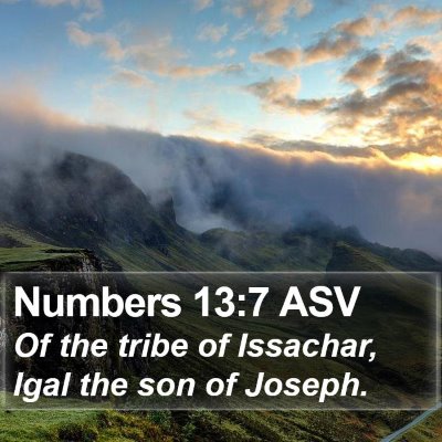 Numbers 13:7 ASV Bible Verse Image