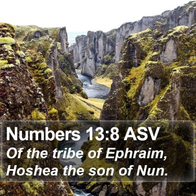 Numbers 13:8 ASV Bible Verse Image