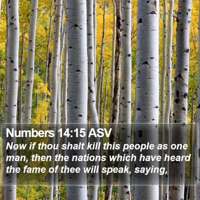 Numbers 14:15 ASV Bible Verse Image