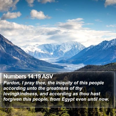 Numbers 14:19 ASV Bible Verse Image