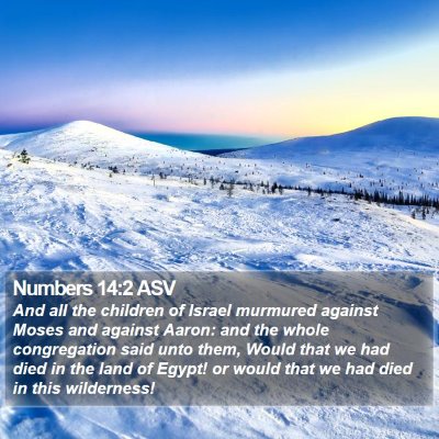 Numbers 14:2 ASV Bible Verse Image