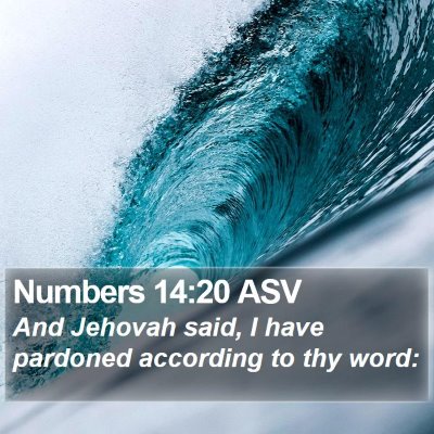 Numbers 14:20 ASV Bible Verse Image