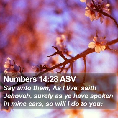 Numbers 14:28 ASV Bible Verse Image