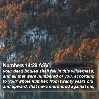 Numbers 14:29 ASV Bible Verse Image