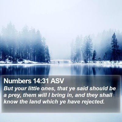 Numbers 14:31 ASV Bible Verse Image