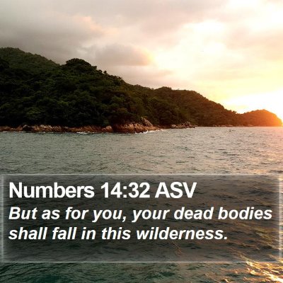Numbers 14:32 ASV Bible Verse Image