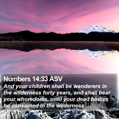 Numbers 14:33 ASV Bible Verse Image
