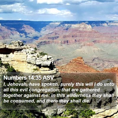 Numbers 14:35 ASV Bible Verse Image