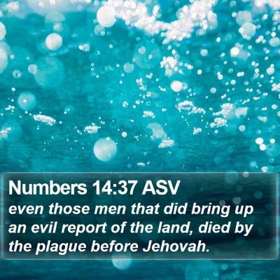Numbers 14:37 ASV Bible Verse Image