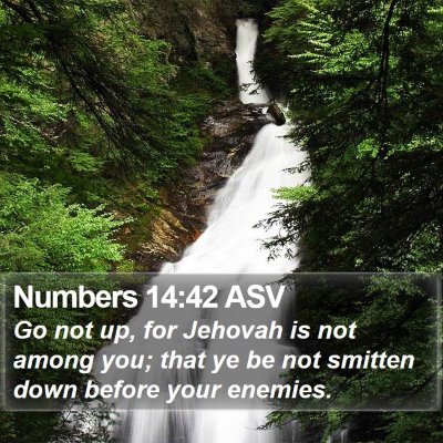 Numbers 14:42 ASV Bible Verse Image